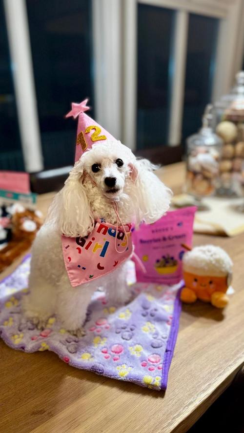 Perli Weissman, 12th Birthday, 22/09/2026